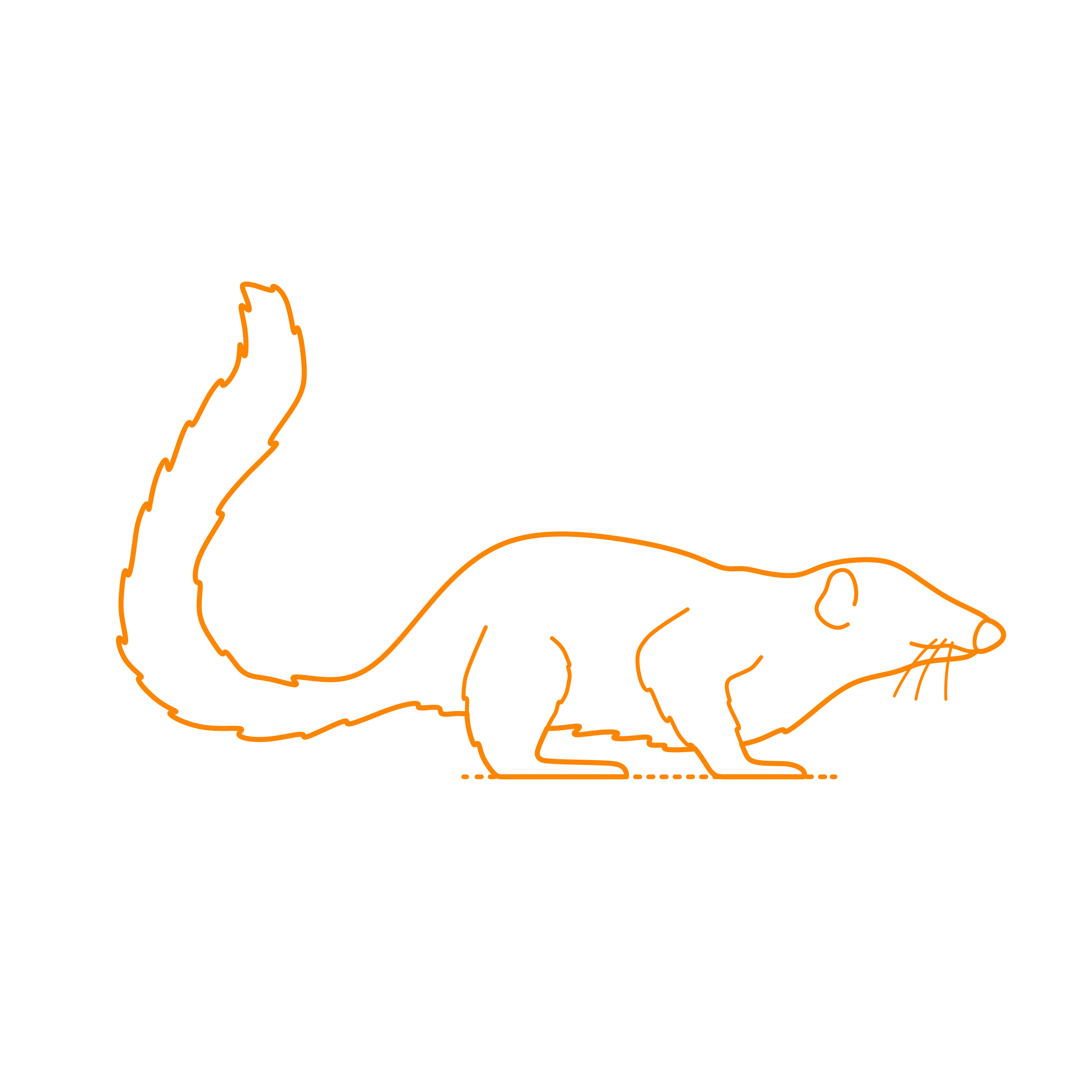 Animals Treeshrews Outline Icon Svg Set Free Vectors
